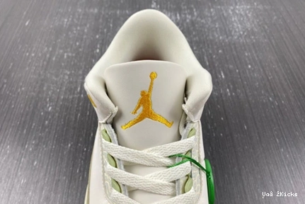 3 Elegant 4843 DX6660- Retro Jordan 380 0727